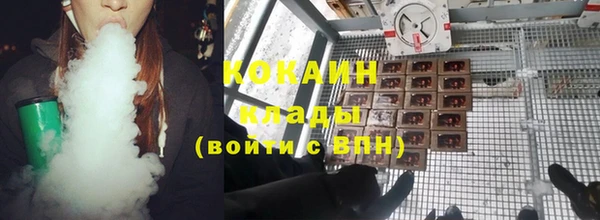 твердый Алзамай