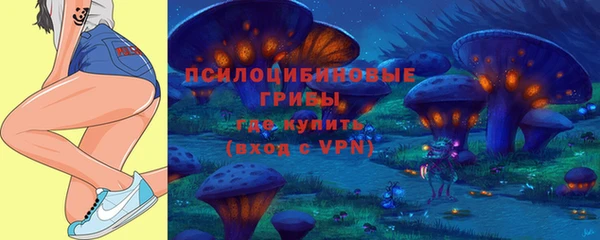 твердый Алзамай