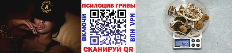 Галлюциногенные грибы MAGIC MUSHROOMS  наркошоп  Старая Русса 
