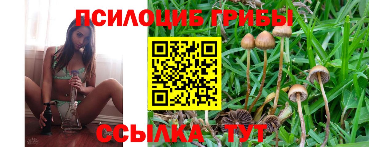 Галлюциногенные грибы прущие грибы Старая Русса