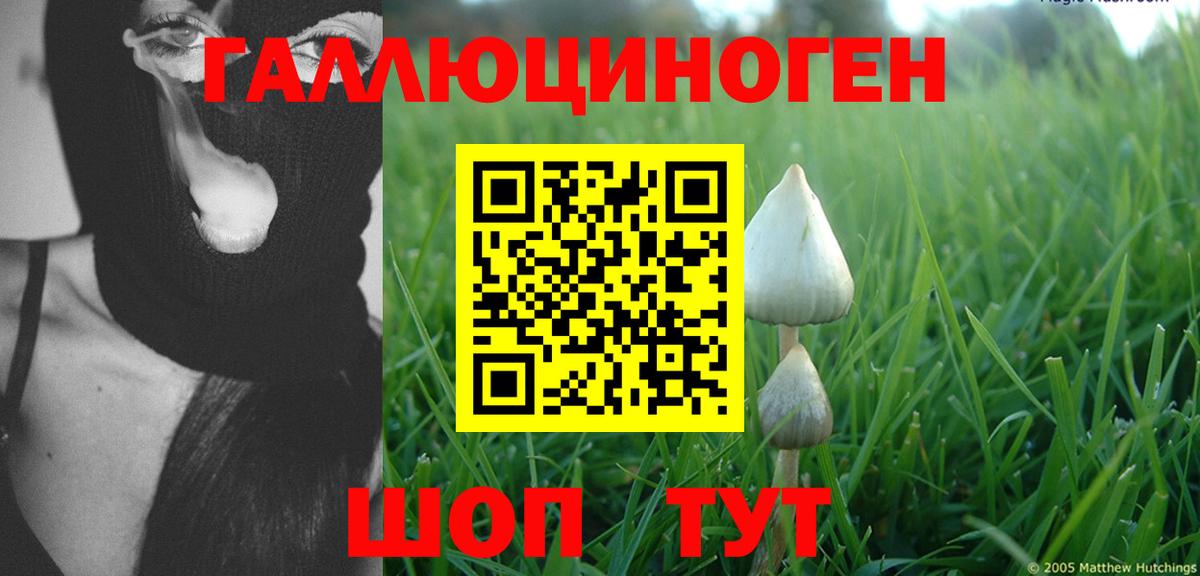Старая Русса  Галлюциногенные грибы Psilocybe  Псилоцибиновые грибы мухоморы  Вход с VPN 